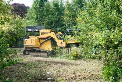 Mulching in Land Clearing