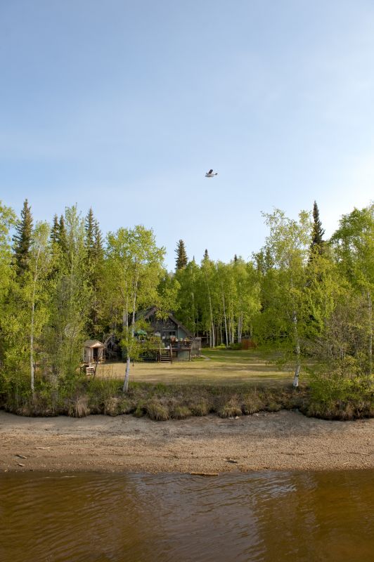 Local Land Clearing Companies