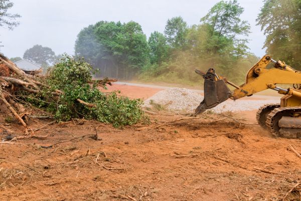 Cost of Forestry Mulching Service in Arroyo Grande