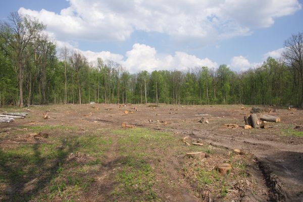 Cost of Pasture Clearing in Arroyo Grande
