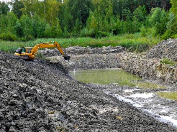Cost of Lake Lot Clearing in Arroyo Grande