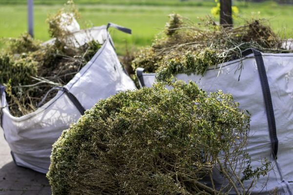 Cost of Bushes Clearing in Arroyo Grande