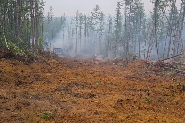 Cost of Hill Clearing in Arroyo Grande