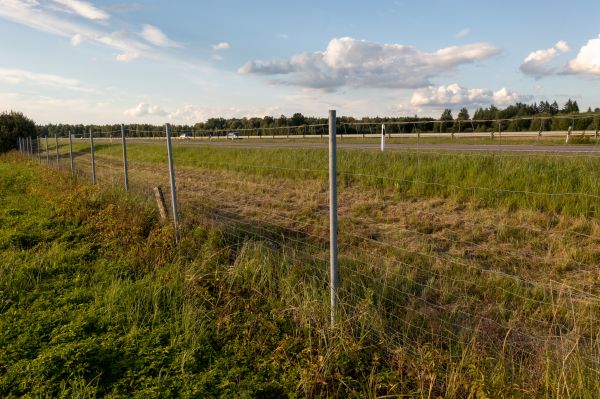 Cost of Property Line Clearing in Arroyo Grande