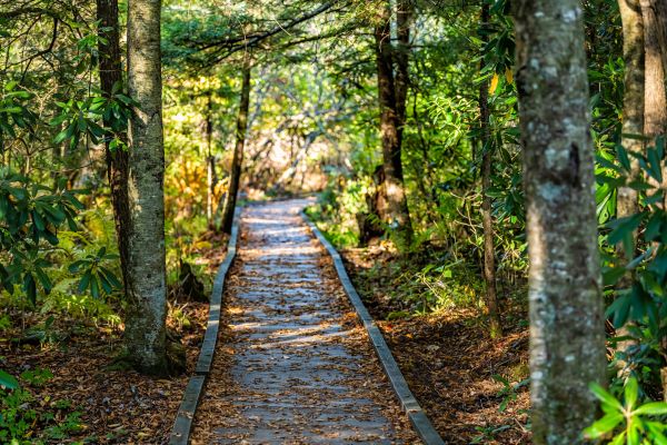 Cost of Trail Clearing in Arroyo Grande